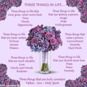 Meet your Posher, Sunny